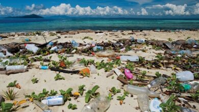 The impact of plastic waste on the oceans