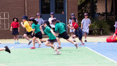 The Importance of Physical Education and Sports in Education