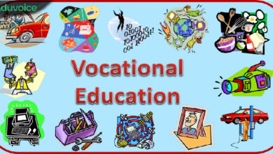The Importance of Vocational Education and Career Readiness
