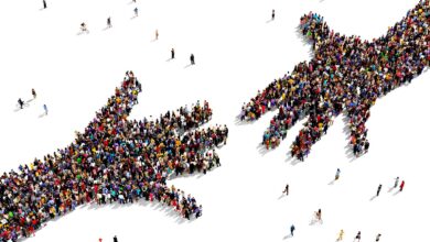 The Importance of Teacher Diversity in Education