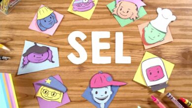 The impact of social and emotional learning (SEL) on student success