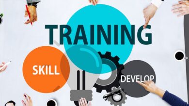 The Role of Soft Skills in Education and Career Development